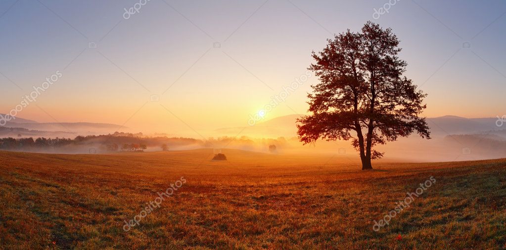Seasonal landscape with trees changing color