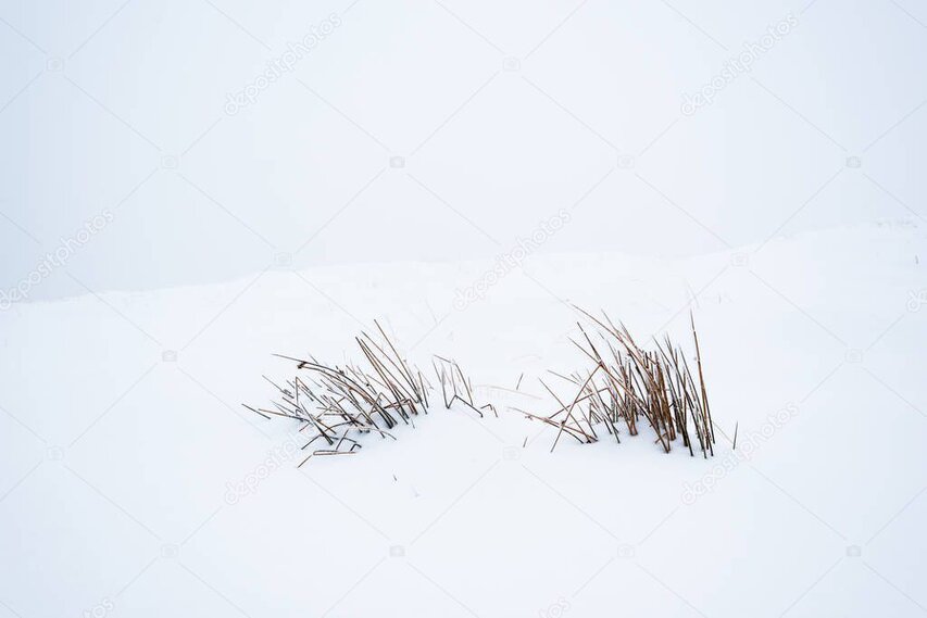 Snow-covered hill under a pale open sky