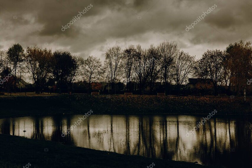 Still lake with a thin line of trees reflected in the water