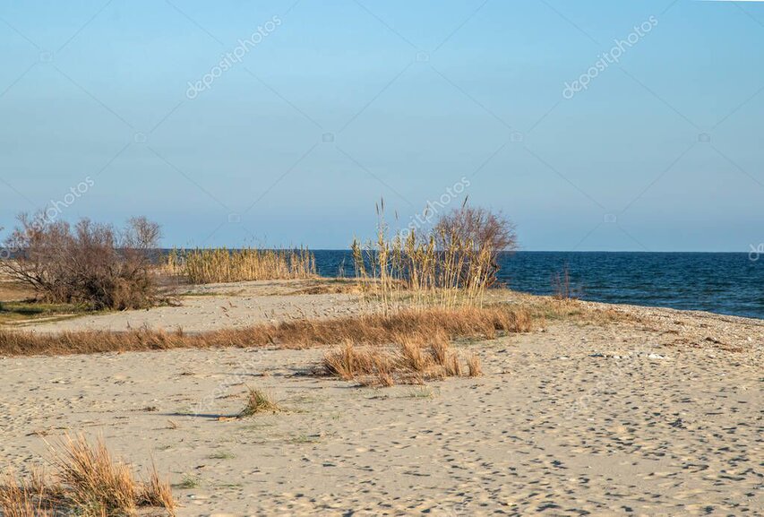 Minimal seascape with soft horizon and calm water